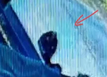 VIDEO/ Me çantë të errët, momenti kur shqiptari kapërcen gardhin e shtëpisë dhe vret 26-vjeçaren shtatzënë në Itali