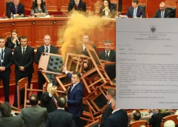 Dokumenti/ Flakadanë në Kuvend, Bardhi bëhet bashkë me Çuçin për udhëtim në SHBA