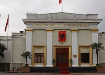 23-vjeçari nga Elbasani përdorte stemën e Kuvendit për t’u prezantuar, ja gjoba qe do të marrë/ Fillon hetimi