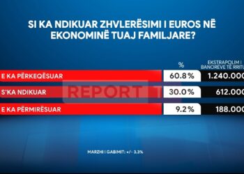 Sondazh/ Zhvlerësimi i euros përkeqësoi financat e familjeve shqiptare, të prekur 60.8% e qytetarëve