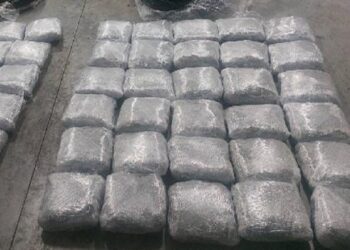 U nis nga Shqipëria, policia malazeze sekuestron 65 kg kanabis sativa