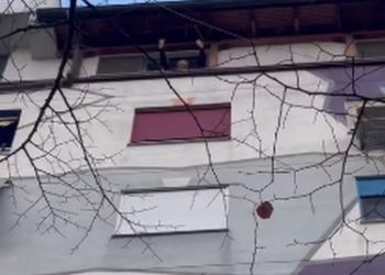 Në arrest shtëpie/ Simpatizantët e Berishës në ambientet pranë shtëpisë