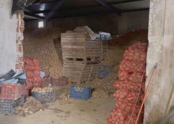 Importi lë pa shitur prodhimet bujqësore, stok me qepë e patate në Korçë