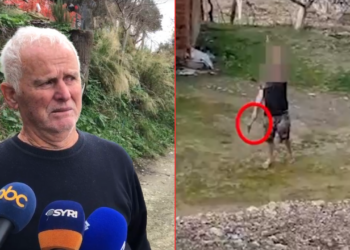 I biri e kërcënoi me vrasje, flet babai: Ka probleme psikologjike, të lirohet. Shkoi puna deri te RENEA
