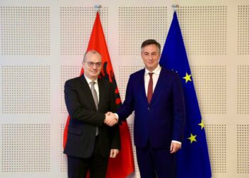 Hasani takon David McAllister në Bruksel: I angazhuar personalisht në mbështetje të integrimit në BE të Shqipërisë