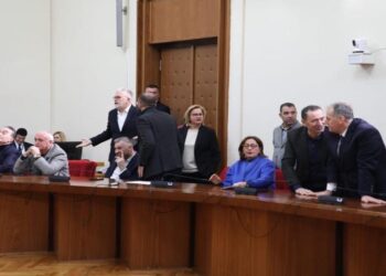 “Dështimi i Zgjedhores”/Gogu: Shfaqja e rradhës e luftës së gjelave ne ish PD-në