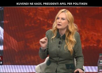 PDIU/ Doda: PD-në e përthithi problematika e personave në krye, duhet të konceptohet një e djathtë e re moderne