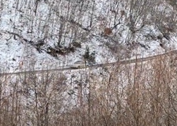 Rruga e tre fshatrave në Kukës e rrënuar, 100 familje ankohen se janë lënë në harresë! Banorët: Prej 30 vitesh askush s’ka vënë dorë, rrezikohen fëmijët kur ikin në shkollë