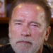 Çfarë ndodhi me “Terminatorin” Schwarzenegger? Bie në pranga aktori i njohur, dyshohet se…!