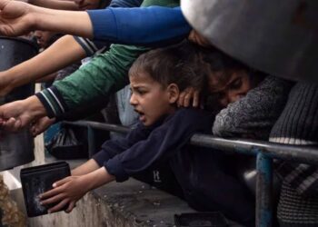 Zia e bukës po pushton Gazën, palestinezët po hanë bar dhe po pinë ujë të ndotur