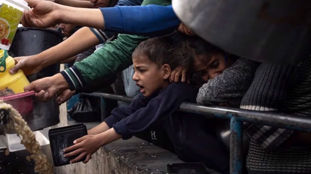 Zia e bukës po pushton Gazën, palestinezët po hanë bar dhe po pinë ujë të ndotur