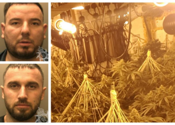 EMRAT/ Dy emigrantë shqiptarë në Britani, kapen në ‘shtëpi bari’ me vlerë 2.1 milionë paund