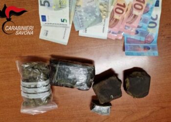 Kompleksi “Agimi i bardhë”/ Fermë kanabisi e shpërndarje kokaine, arrestohen 9 shqiptarë në Itali