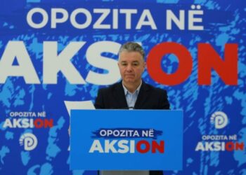 Bozdo: Popullsia e Shqipërisë është reduktuar me 35% gjatë 10 viteve