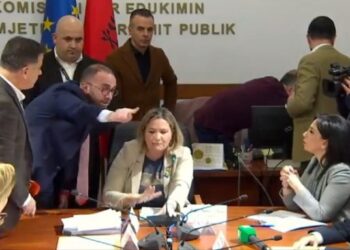 Noka e Bardhi sulmuan gratë në Komision/ Deputetja e PS: Skena që na bëjnë gazin e botës, duhet të ketë reflektim