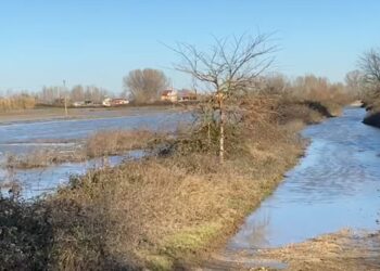 Qindra hektarë tokë bujqësore nën ujë në Krujë, del nga shtrati lumi Ishëm