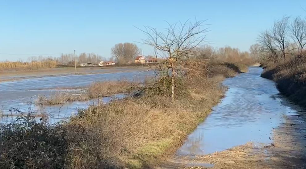 Qindra hektarë tokë bujqësore nën ujë në Krujë, del nga shtrati lumi Ishëm