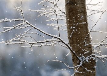 Mot i kthjellët por i ftohtë, si do të luhaten temperaturat ditën e sotme