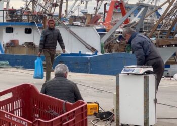 Peshkatarë nga Egjipti në Durrës, shoqata: Kemi mungesë për fuqi punëtore