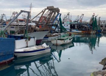 Të huajt zgjedhin Durrësin, afro 300 anije egjiptiane punojnë në sektorin e peshkimit