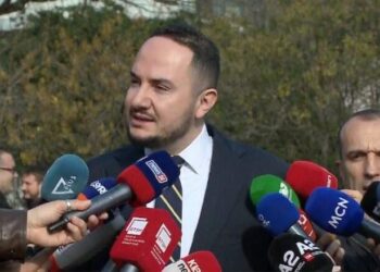 Salianji: Punë e madhe se PS i miraton ligjet pa debate. Protestuam pa karrige se ka diversifikim të aksionit