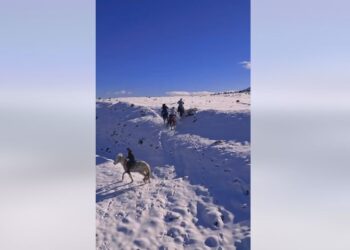 VIDEOLAJM/ Shëtitje me kuaj mes të dëborës në fshatrat Polenë dhe Lavdar në Korçë