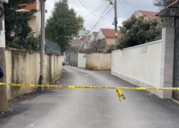 Si ndodhi vrasja në Tiranë? Shkoi në shtëpinë e vëllait për të pirë kafe, më pas e vrau për pronat në Bulqizë