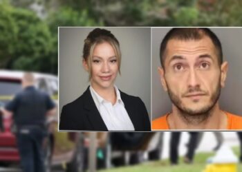 “Ka një vazhdë të një historie më të hershme”, ish-drejtuesi i policisë për vrasjen e Suela Saliajt: Arsye e vrasjes, jo vetëm problemet mendore