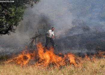 Flakët shkrumbojnë 10 hektarë pyje në Vaun e Dejës, zjarrfikësit s’kanë mjete për të ndërhyrë