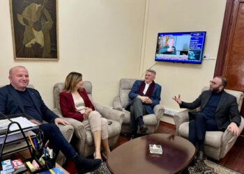 FOTOLAJM/ Çfarë po thurin katër deputetët e PD-së? Gjekmarkaj zbulon pamje nga takimi