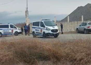 3 pistat për atentatin ndaj Ardian Gjeloshit/ Nga Konfliktet për biznesin, te hakmarrja për vrasjen e Marie Prengës