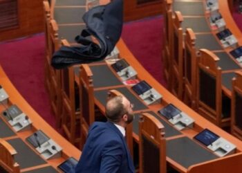 VIDEO/ Braçe tallet me veprimin e Bardhit: Ka ardhur Alegri në Parlament, është masku si Kazi Barthi!