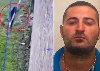 U arratis nga burgu i sigurisë së lartë me çarçafë, kapet bosi mafioz