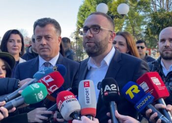 “Koalicioni i Opozitës së Bashkuar”, Bardhi-Noka takohen të premten me aleatët
