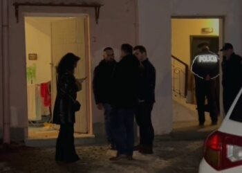 Detajet tragjike/ Nënë e bijë u gjetën të vdekura në banesë: E moshuara e paralizuar, vajza kujdesej për të. Dyshohet se…!