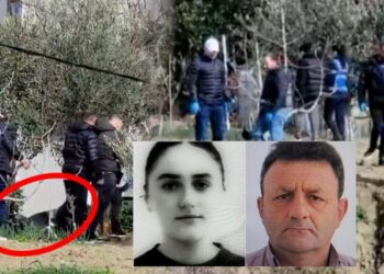 Vrau babanë në bashkëpunim me motrën dhe vëllanë, Hysen Meta pranon krimin