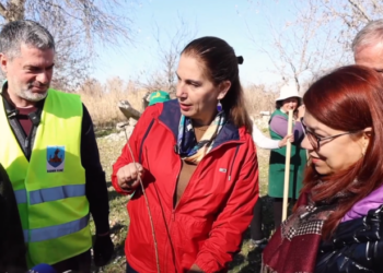 Mbillen fidanë në brigjet e Vjosës, Kumbaro: Është zgjidhje afatgjatë edhe për përmbytjet