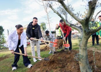Mbjellje pemësh pranë shkollës “Sevasti Qirjazi”; Veliaj: Park i vogël për komunitetin e zonës