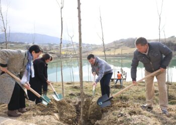 Pemë për të përkujtuar të afërmit/ Veliaj: Deri në fund të sezonit mbjellim 100 mijë fidanë; qytetarët e bizneset të bëhen pjesë e nismës
