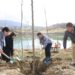 Pemë për të përkujtuar të afërmit/ Veliaj: Deri në fund të sezonit mbjellim 100 mijë fidanë; qytetarët e bizneset të bëhen pjesë e nismës