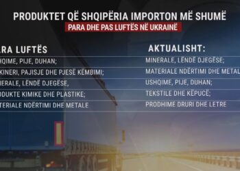 Lufta përgjysmoi importet e Shqipërisë nga Rusia dhe Ukraina: Vendin e tyre e ka zënë Kina e India