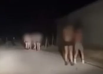 VIDEO/ Poshtërime e tortura, policia serbe detyron emigrantët në kufirin me Maqedoninë të zhvishen në temperatura të ulëta