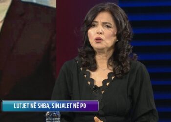 Neza: Basha, i rrezikuar nëse nuk ndryshon sistemi; Karabina: Rithemelimi është drejt tretjes