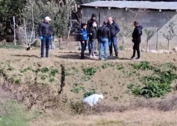 Merret në mbrojtje gruaja e Pëllumb Metës, shoqërohet nga blutë deri te shtëpia e prindërve