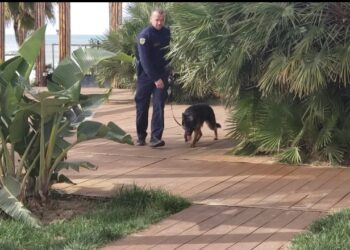 Trajnimi i qenve të policisë me manual nga OSBE, Boshnjaku: Japin ndihmë të madhe në pikat e kalimit kufitar