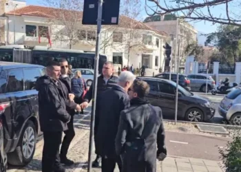 VIDEO/ “Turp që e votove ligjin”, Braçe ‘përplaset’ me ambientalistët: Paskeni marrë me vete hajdutin e Saliut