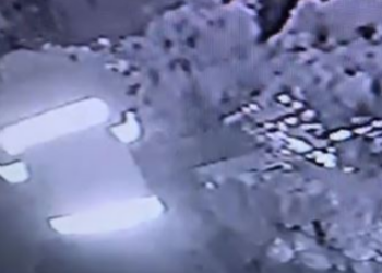 VIDEO/ “Skifteri” në Kuçovë hyn brenda dyqanit për të vjedhur paratë, në pamundësi për të hapur kasën merr paketa dhe…!