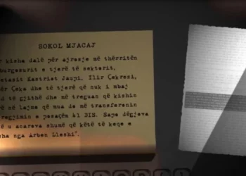 Dëshmia e plotë/Kush janë VIP-at e krimit me të cilët kishte krijuar afrimitet Sokol Mjacaj