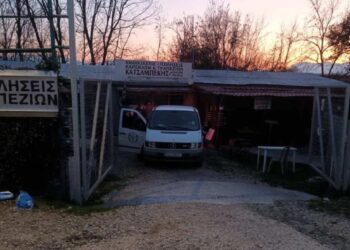 E rëndë në Greqi – Djali i pret kokën babait dhe njofton policinë: Ejani më merrni, vrava babain tim!