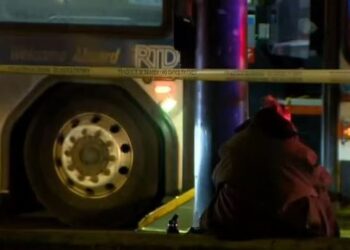 Tragjike/ 13-vjeçari vret gjyshin pas sherrit se këmba e të moshuarit i bllokoi korridorin në autobus